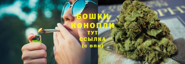 PSILOCYBIN Волоколамск