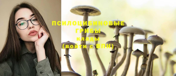 PSILOCYBIN Волоколамск