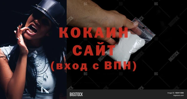 молекула духа Волосово