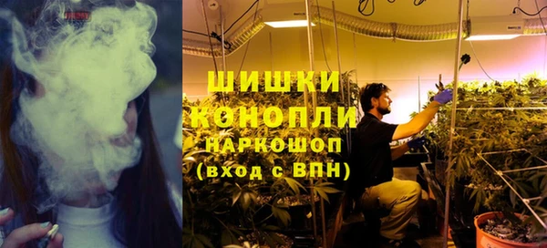 молекула духа Волосово