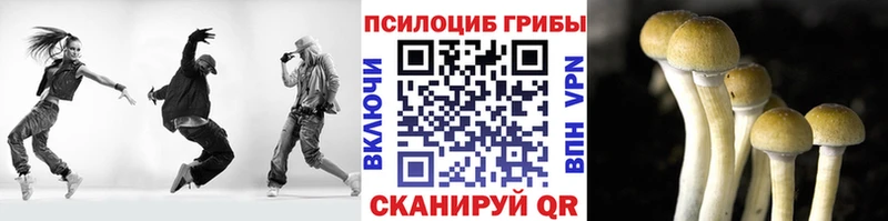 Галлюциногенные грибы мухоморы  Вольск 