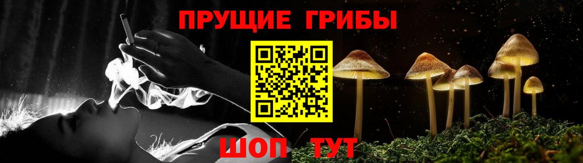 Псилоцибиновые грибы Magic Shrooms Вольск